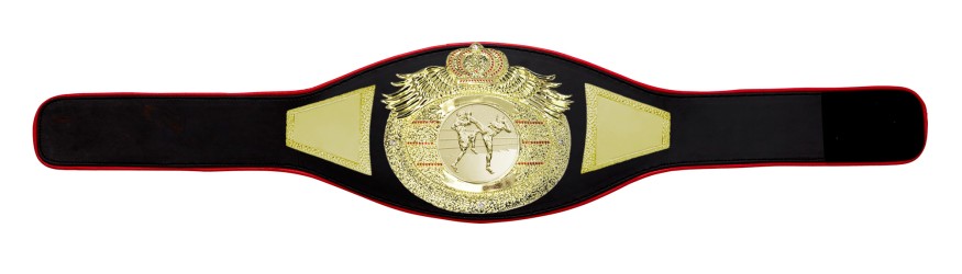 *NEW* PROICON THAI BOXING CHAMPIONSHIP BELT/G/TBOG - AVAILABLE IN 6+ COLOURS